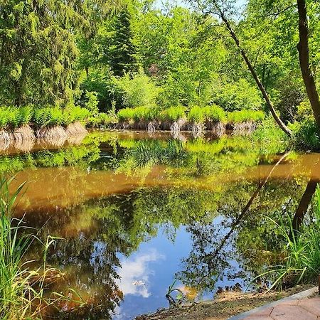 Midden In De Friese Bossen Op Landgoed Princenhof Oranjewoud Εξωτερικό φωτογραφία
