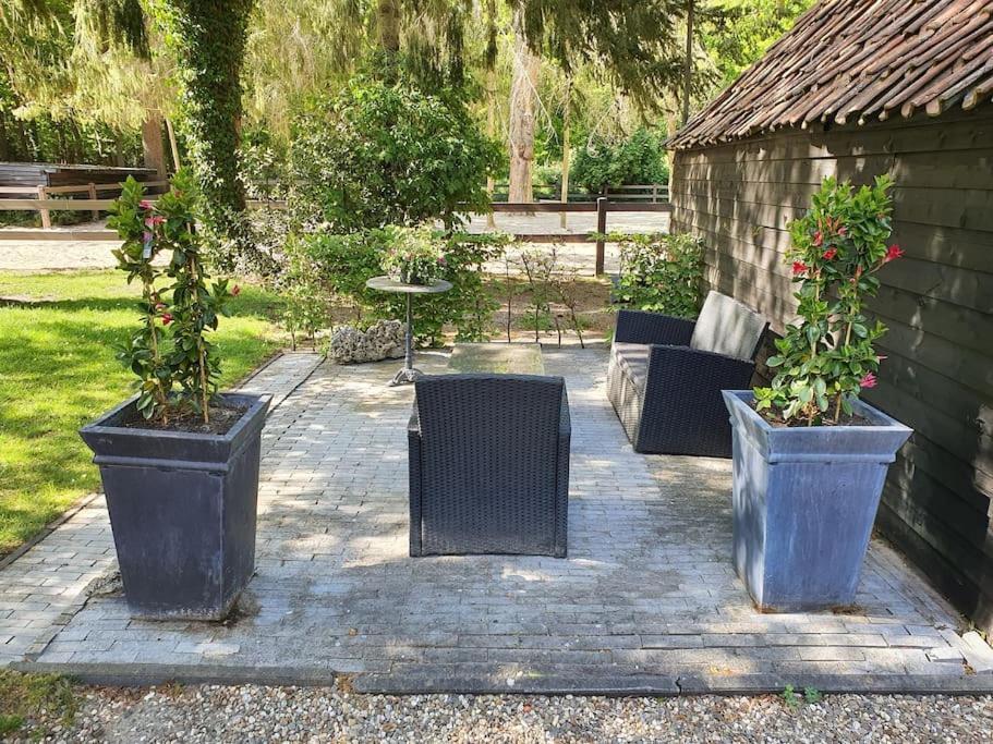 Midden In De Friese Bossen Op Landgoed Princenhof Oranjewoud Εξωτερικό φωτογραφία