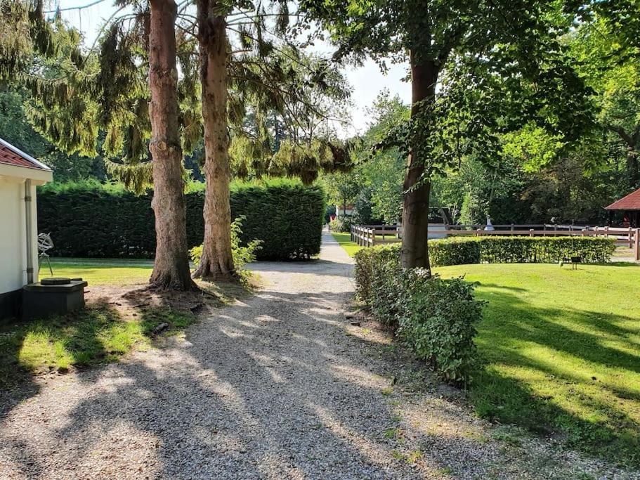 Midden In De Friese Bossen Op Landgoed Princenhof Oranjewoud Εξωτερικό φωτογραφία