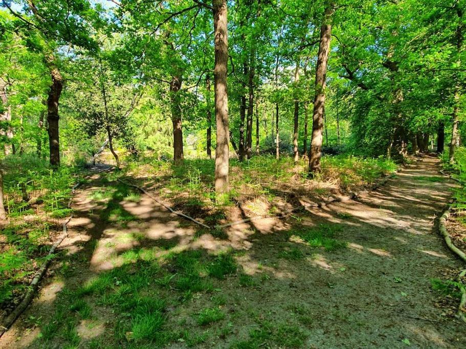 Midden In De Friese Bossen Op Landgoed Princenhof Oranjewoud Εξωτερικό φωτογραφία