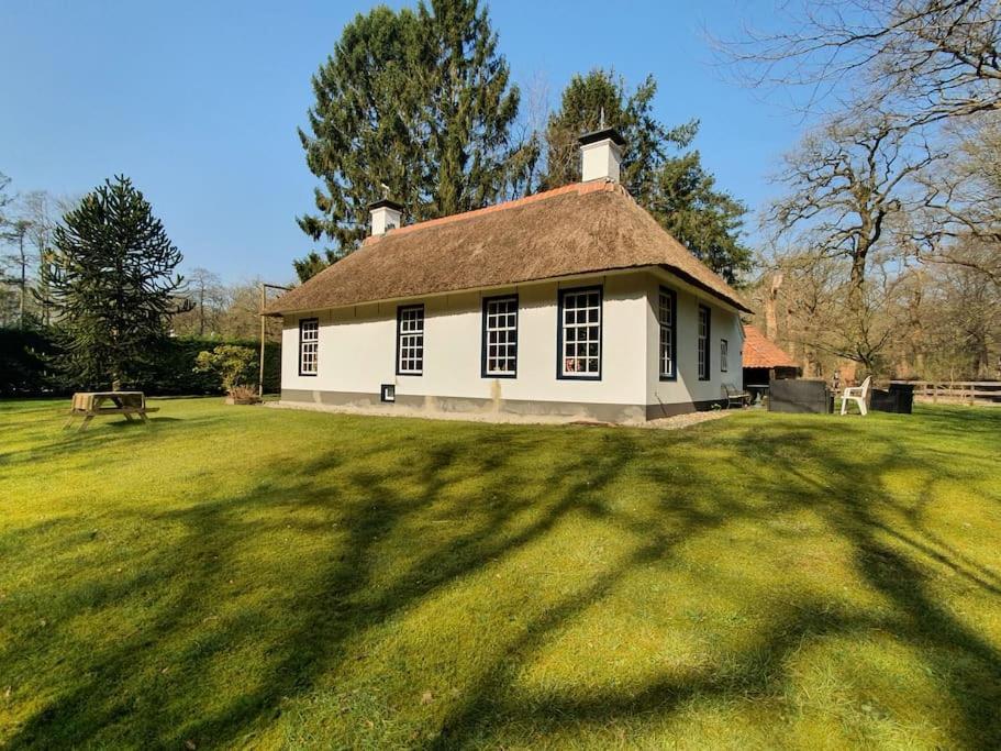 Midden In De Friese Bossen Op Landgoed Princenhof Oranjewoud Εξωτερικό φωτογραφία
