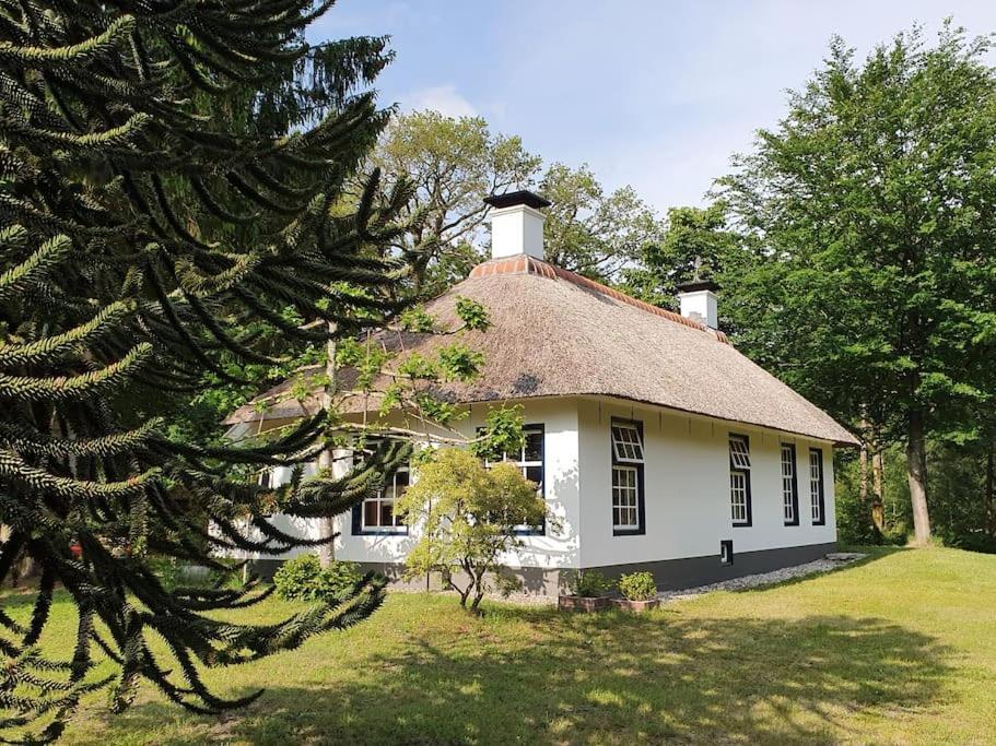 Midden In De Friese Bossen Op Landgoed Princenhof Oranjewoud Εξωτερικό φωτογραφία
