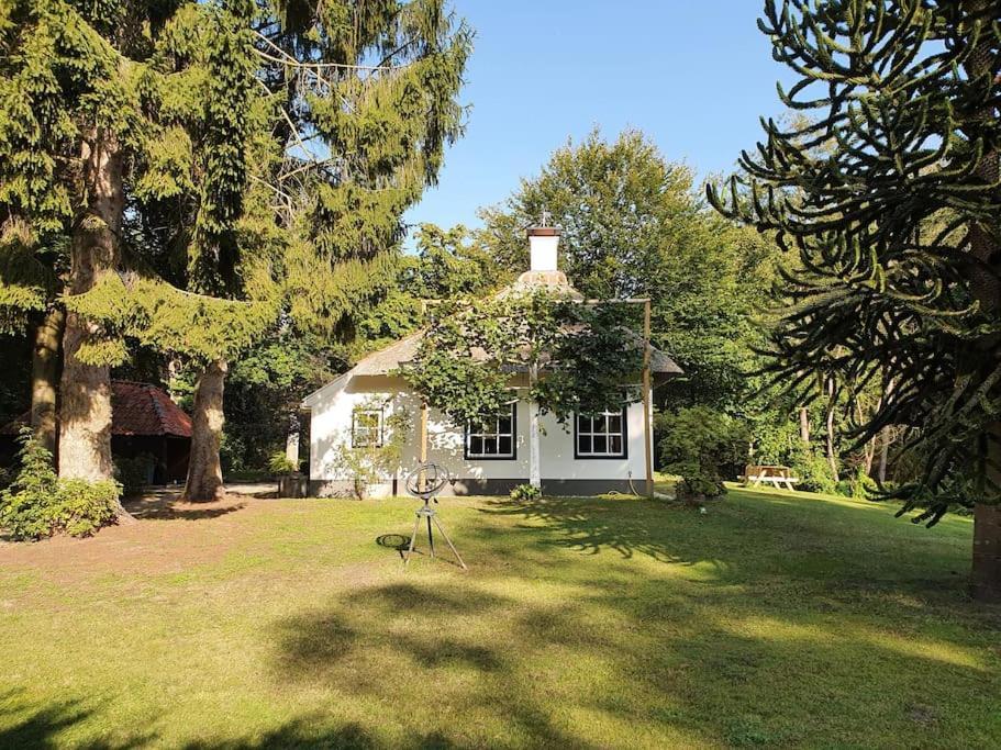 Midden In De Friese Bossen Op Landgoed Princenhof Oranjewoud Εξωτερικό φωτογραφία
