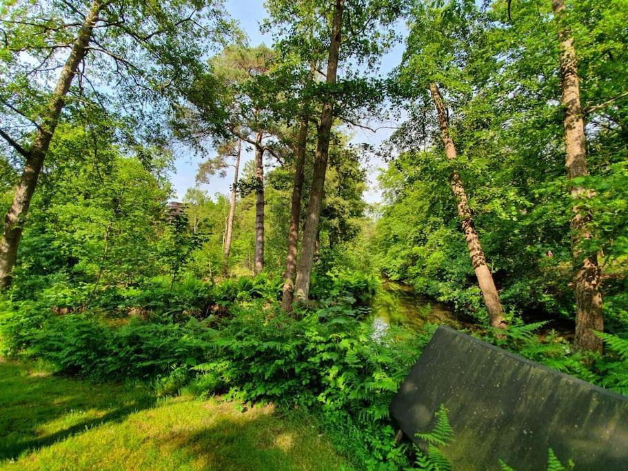 Midden In De Friese Bossen Op Landgoed Princenhof Oranjewoud Εξωτερικό φωτογραφία