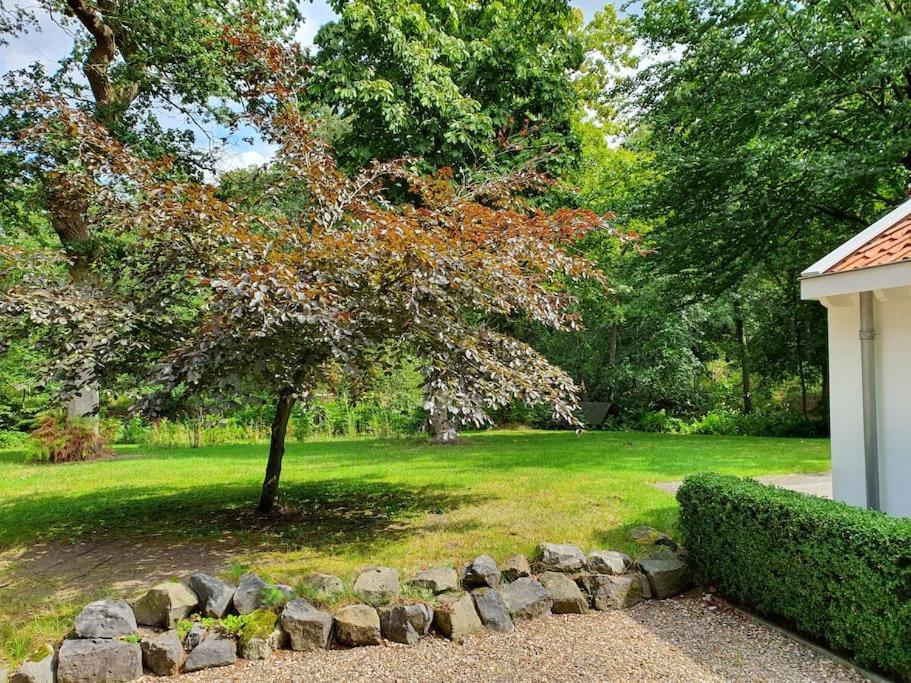 Midden In De Friese Bossen Op Landgoed Princenhof Oranjewoud Εξωτερικό φωτογραφία