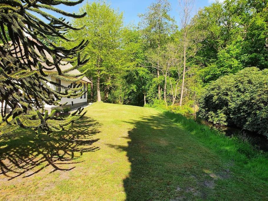 Midden In De Friese Bossen Op Landgoed Princenhof Oranjewoud Εξωτερικό φωτογραφία