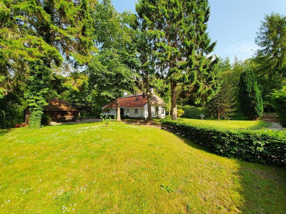 Midden In De Friese Bossen Op Landgoed Princenhof Oranjewoud Εξωτερικό φωτογραφία